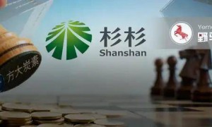 辽宁首富对手来了！马应龙母公司入局杉杉重整