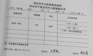 部分铅中毒幼儿出院，多位家长质疑，作案动机待解