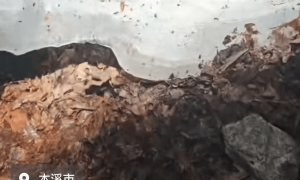 辽宁一景区三伏天惊现大冰块，游客专程“打卡摸冰”，景区：从冬天到现在一直没有化